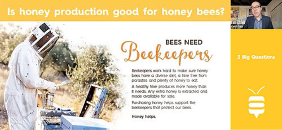 Hive Sessions: Volume 1