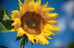 Blog Image Scott Prusko