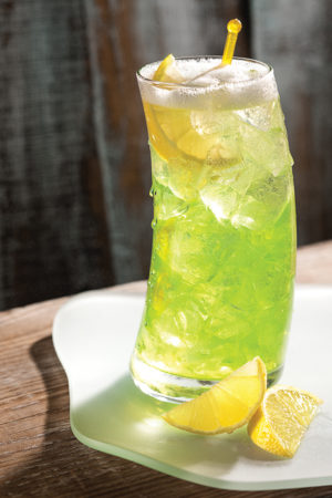 HONEY DO FIZZ HERO COMP