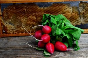 Radishes and Honeycomb