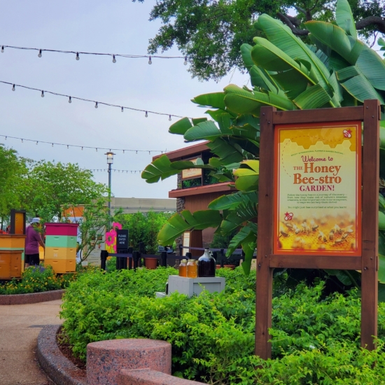 Honey Bee stro Entrance