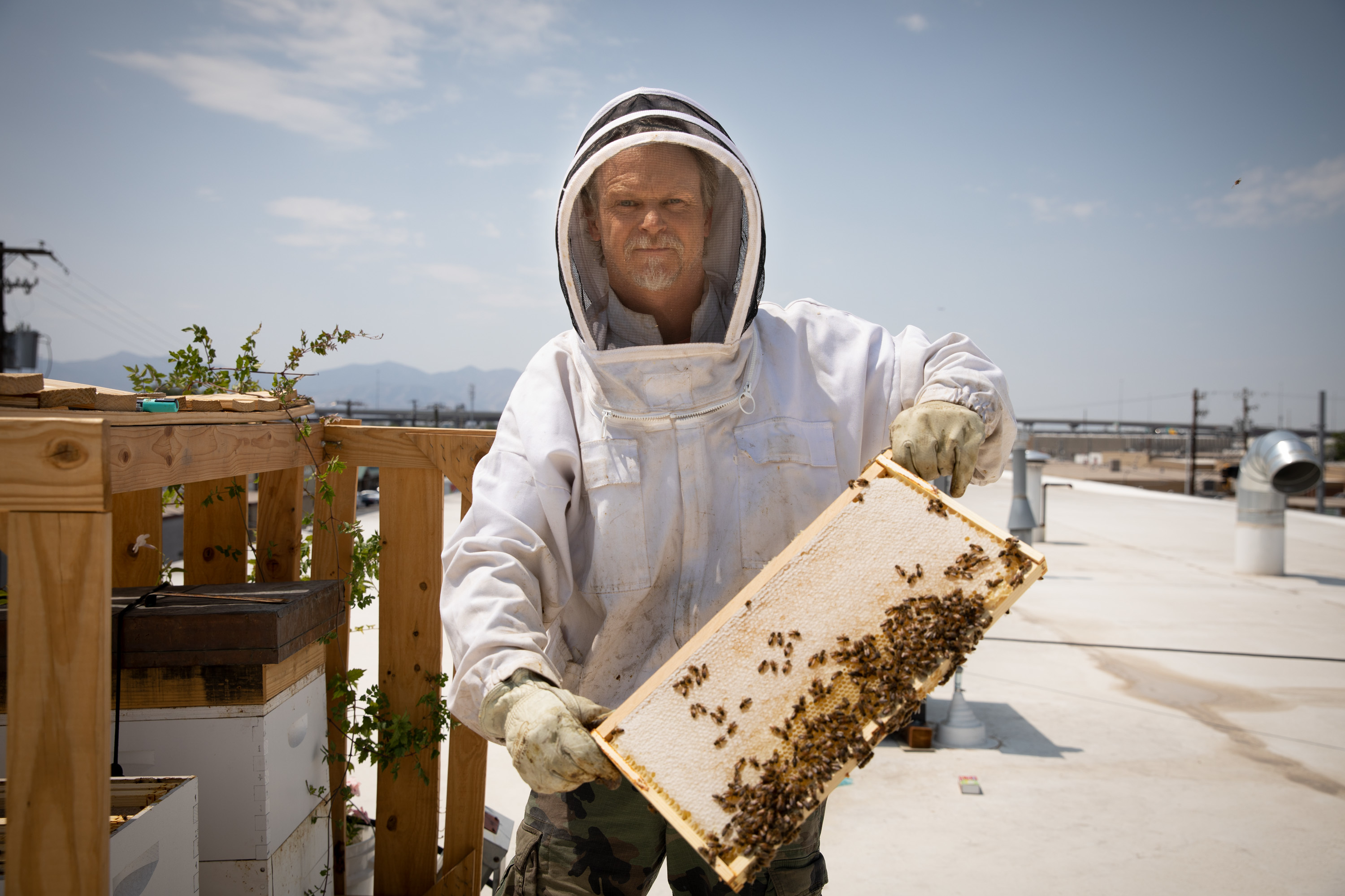 Beehive Distilling Rooftop Bee Frame